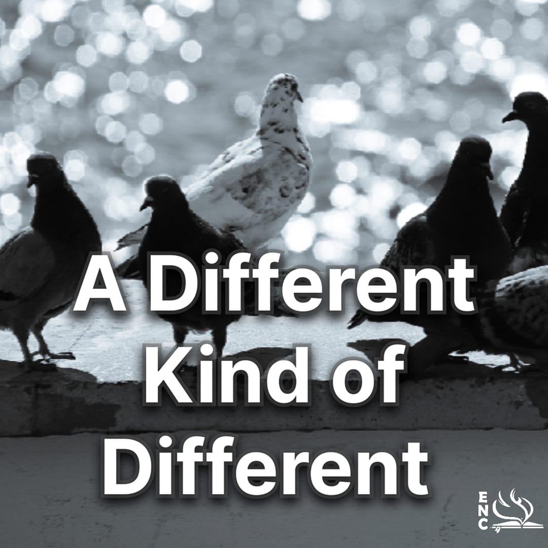 A Different Kind of Different